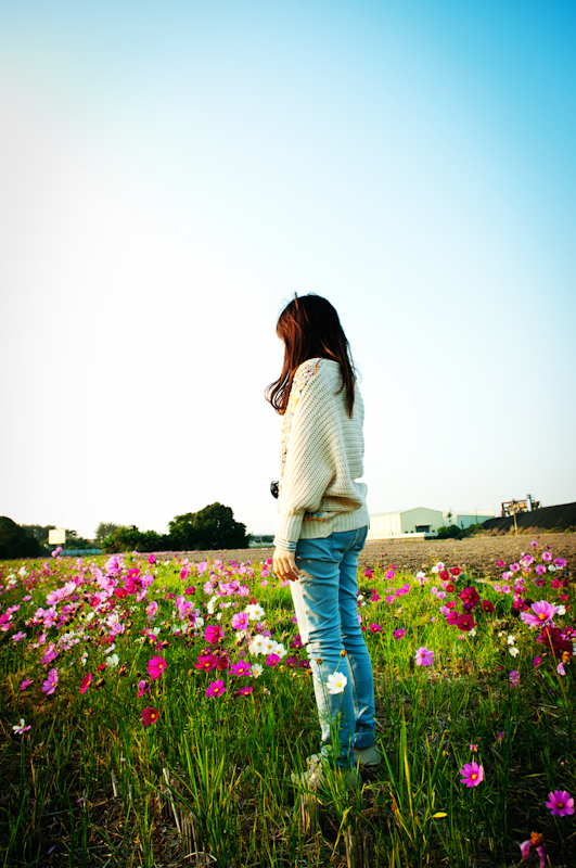 http://i.dcview.tw/gallery/201302/74de934e83b7a47a44ec317531d19d16.jpg