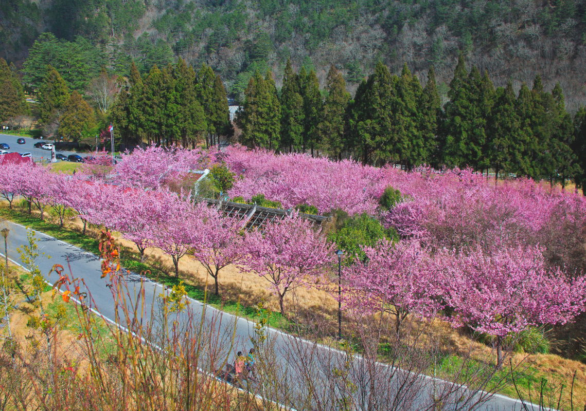 http://i.dcview.tw/gallery/201302/77eb3706261228f8ee7307a972526f5a.jpg