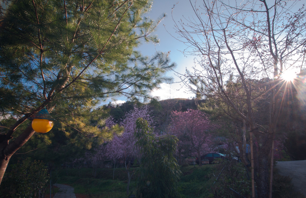 http://i.dcview.tw/gallery/201302/7a293e9df5f1757f3675d97d54fb0071.jpg