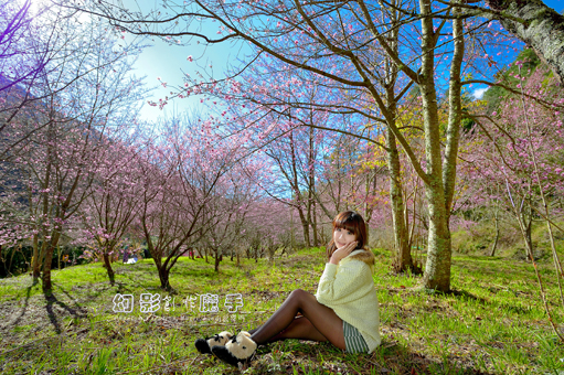 http://i.dcview.tw/gallery/201302/7a849890b04d3286bd0fba5729e18e3b.jpg