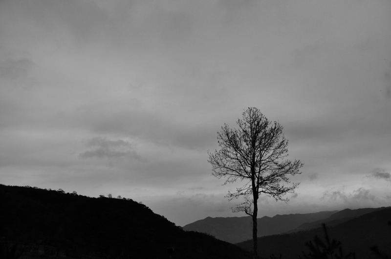 http://i.dcview.tw/gallery/201302/7d829515d1bd93caa95e066bf749a216.jpg