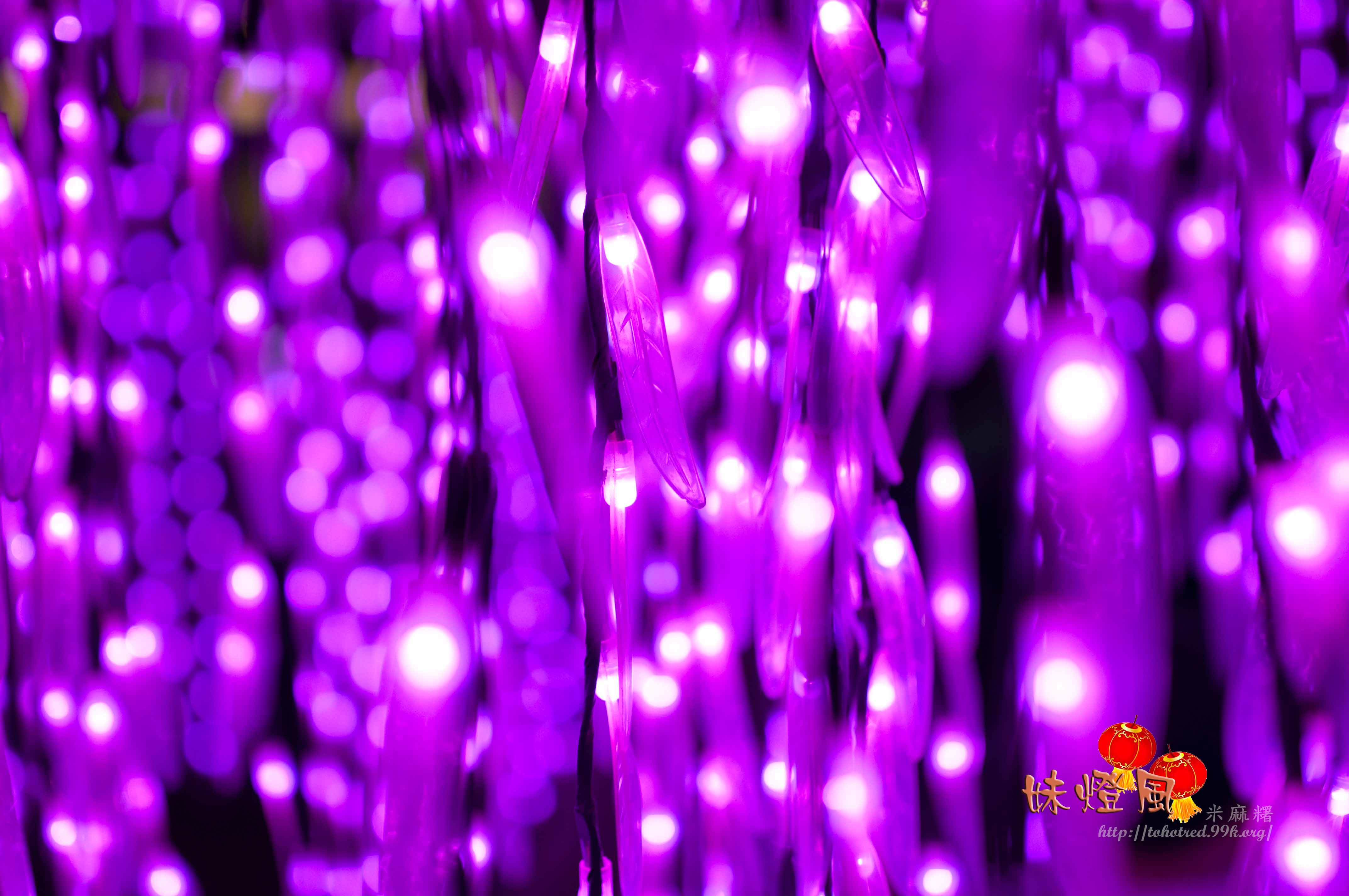 http://i.dcview.tw/gallery/201302/842ef6ad6df0c8a6e365dd9d9ff81146.jpg