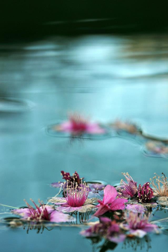http://i.dcview.tw/gallery/201302/86af087d0f771885c18f6477a854a1ee.jpg