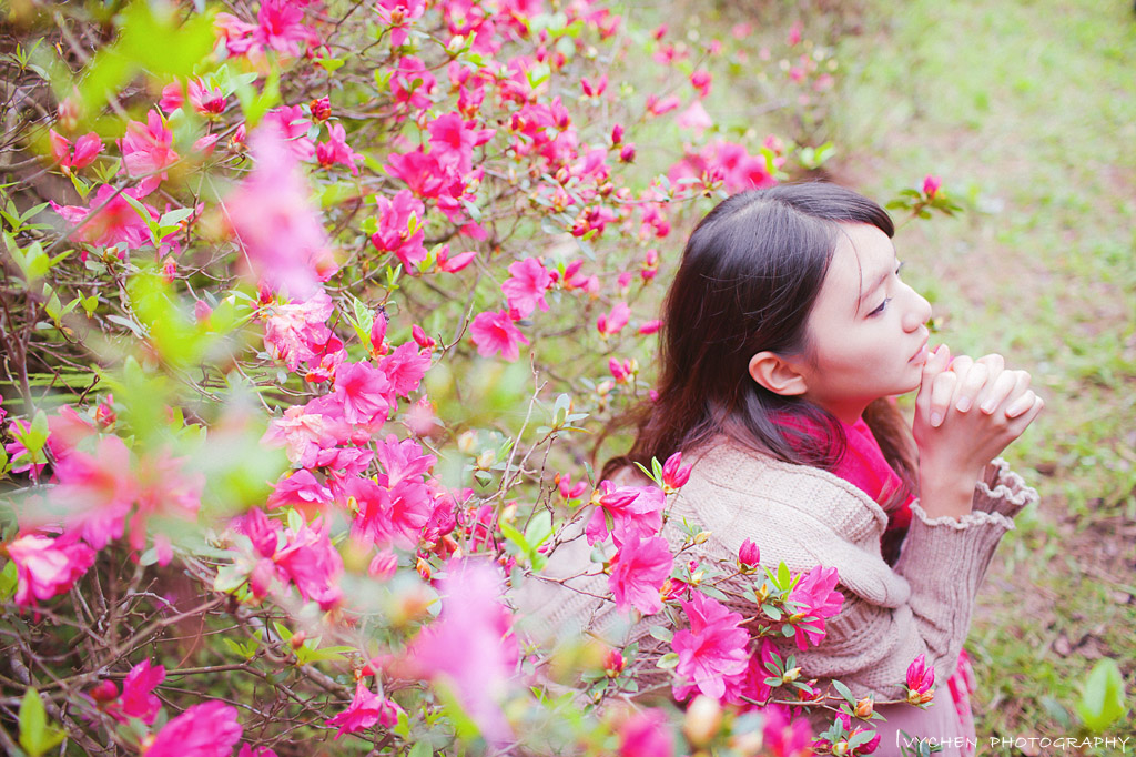 http://i.dcview.tw/gallery/201302/87811844055491d416c0b2bb6d1ae75d.jpg