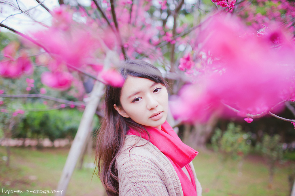 http://i.dcview.tw/gallery/201302/8bc5390d1b04eda3edcf332ab5697b98.jpg
