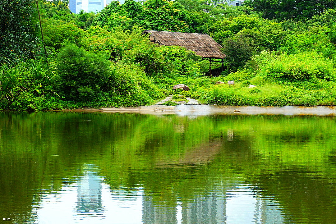 http://i.dcview.tw/gallery/201302/8c2b64d52fa0a4ec257b3fb11a6d087a.jpg