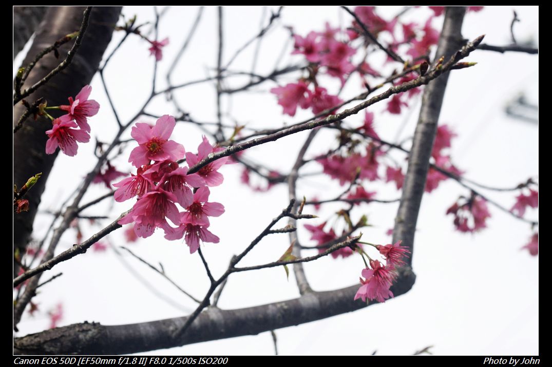 http://i.dcview.tw/gallery/201302/8e78f3000c98817cc6c1512bf1d2a38a.jpg