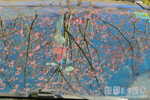 http://i.dcview.tw/gallery/201302/8f637c85286f4eea952057025d3a5270.jpg