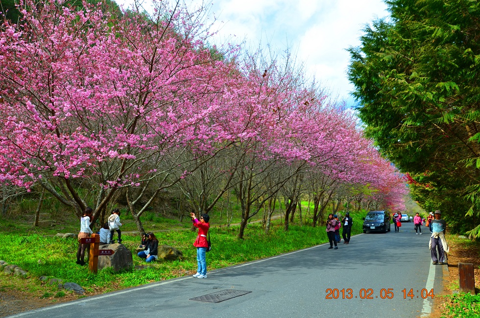 http://i.dcview.tw/gallery/201302/91053de13c780952117ef80f336c0b94.jpg