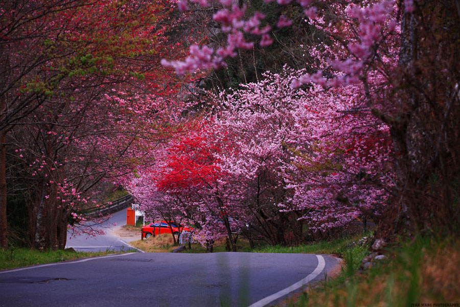 http://i.dcview.tw/gallery/201302/9560f6111ae16bcd29a9d5d76f6b4dd8.jpg