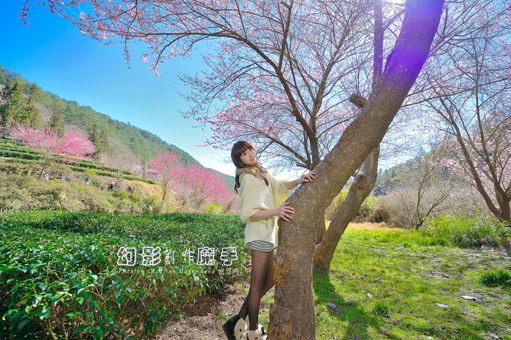 http://i.dcview.tw/gallery/201302/959b7c5e4f76dd3860bb2e53cfc4c1f8.jpg