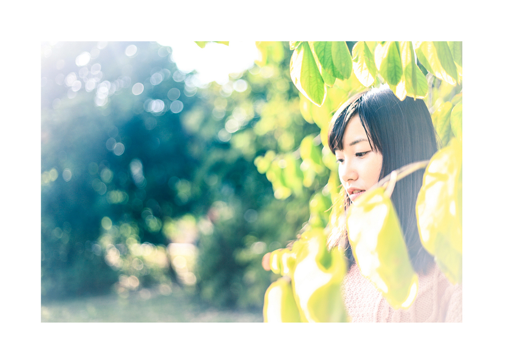 http://i.dcview.tw/gallery/201302/99e4aec271532f1cfeaec21719365924.jpg