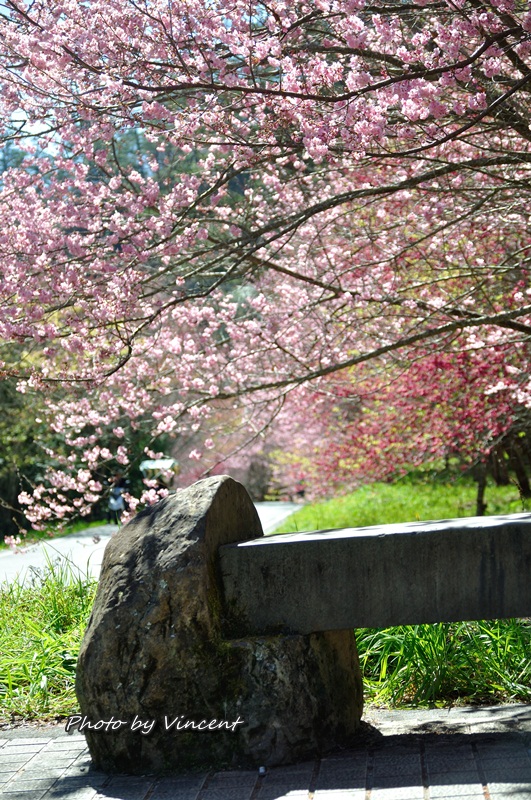 http://i.dcview.tw/gallery/201302/9a25cf752abf3170af4fd3ce737d71d6.jpg