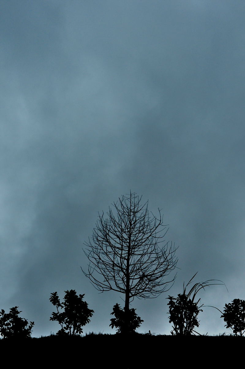 http://i.dcview.tw/gallery/201302/9a447b773457c182125098abae2e7780.jpg