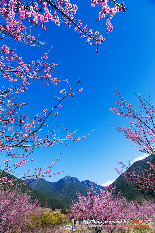 http://i.dcview.tw/gallery/201302/9b0775e755f41f1789f9ad95dcbadc15.jpg