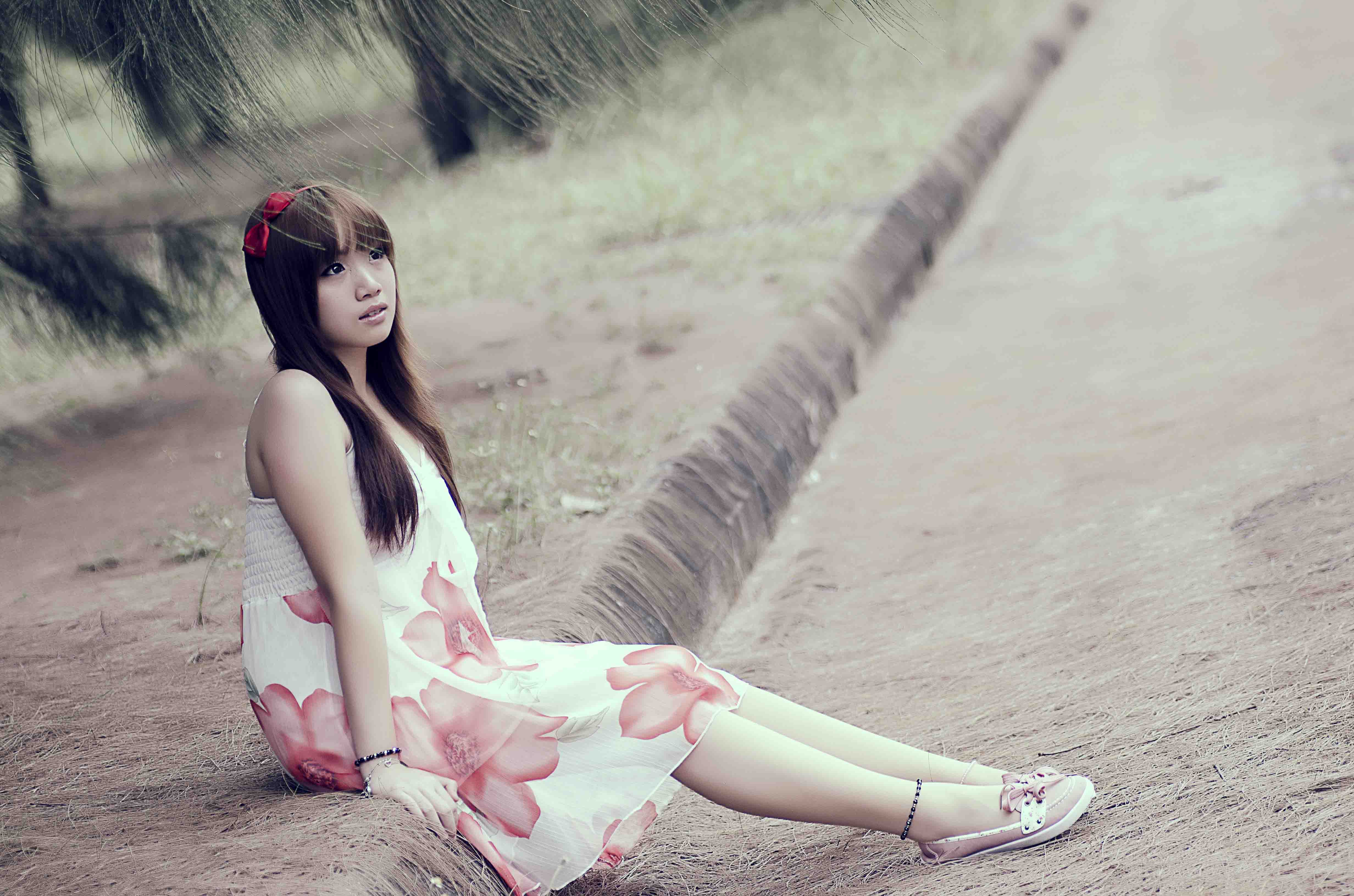 http://i.dcview.tw/gallery/201302/9b95dcca7197d1ee154d945ac33bb39d.jpg