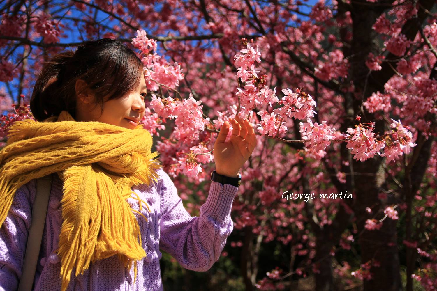 http://i.dcview.tw/gallery/201302/a0b4c9a3d8cb2680380f2243a74af7c7.jpg