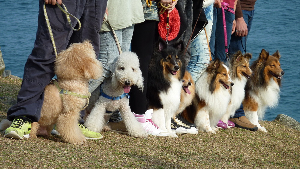 http://i.dcview.tw/gallery/201302/a316d78184440d505c2aa4c86683912b.jpg