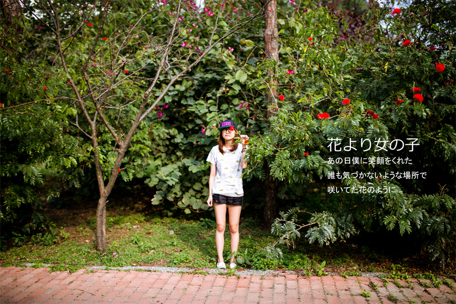 http://i.dcview.tw/gallery/201302/a350e92c05ae7ba7d367cbd3bf0fe4ea.jpg