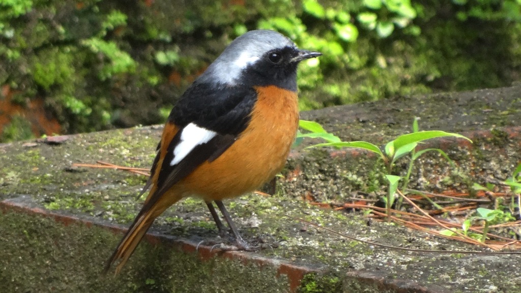 http://i.dcview.tw/gallery/201302/a5b633a46433ccc9b9d8895ffcbbebf1.jpg