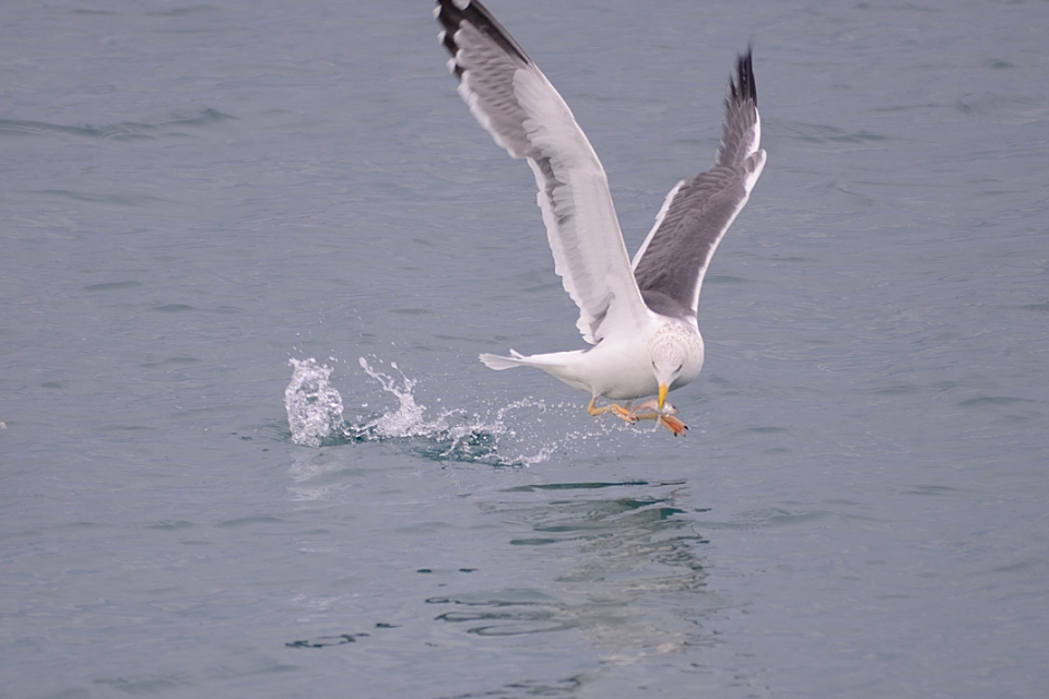 http://i.dcview.tw/gallery/201302/a7d39ecad2d7f05a6532705663c88bdd.jpg
