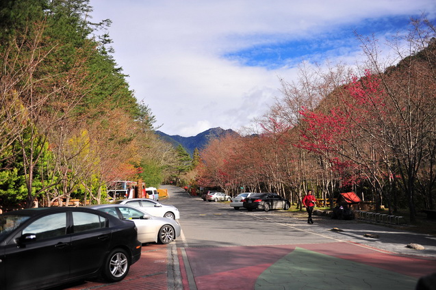http://i.dcview.tw/gallery/201302/a7ed751f908533d9c541a05e2b06659d.jpg