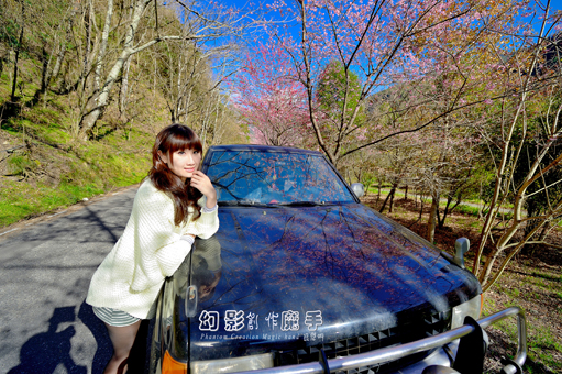 http://i.dcview.tw/gallery/201302/a96530bbf1170ebefb5503593dd97eb2.jpg