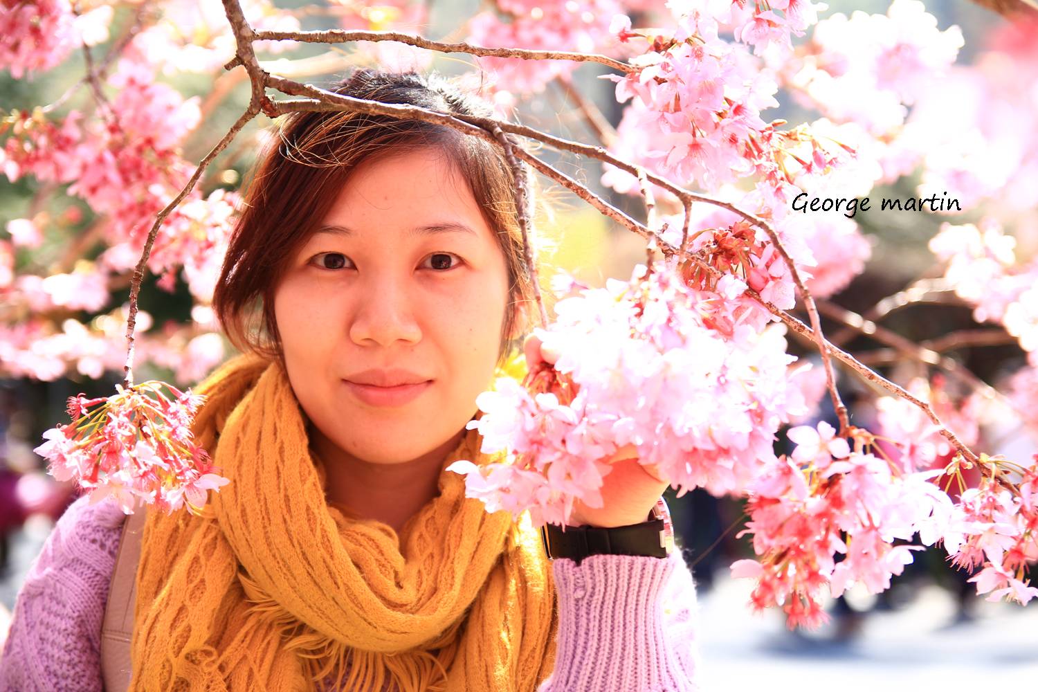 http://i.dcview.tw/gallery/201302/a9a64fdf8d949e6686a364e05da6d76b.jpg