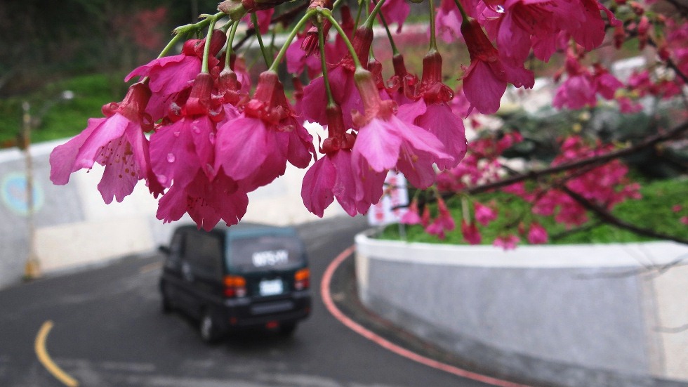 http://i.dcview.tw/gallery/201302/ad0db3dee53939cc59b7fd6c7798a20e.jpg