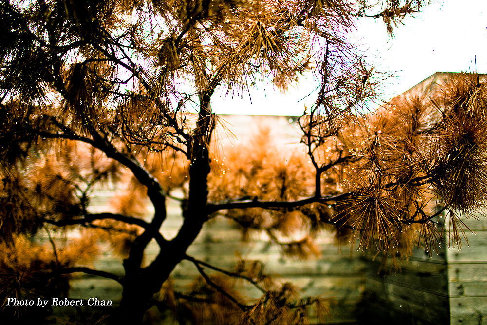 http://i.dcview.tw/gallery/201302/ae1f565449d244c231c9c22d67987dfe.jpg