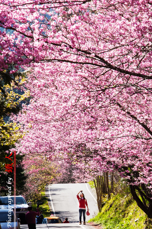 http://i.dcview.tw/gallery/201302/b0ba53eabe3487e3c945ffddb6c96a09.jpg