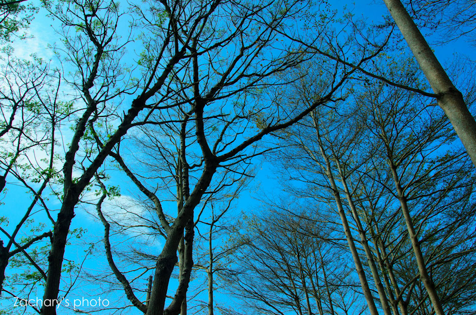 http://i.dcview.tw/gallery/201302/b364e55cab4dae53844c4e04af6043a0.jpg