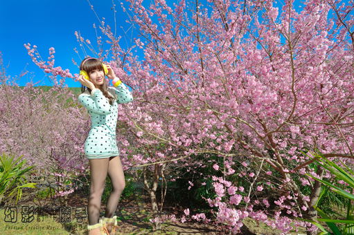 http://i.dcview.tw/gallery/201302/b7287d069796f30c082354539a084944.jpg