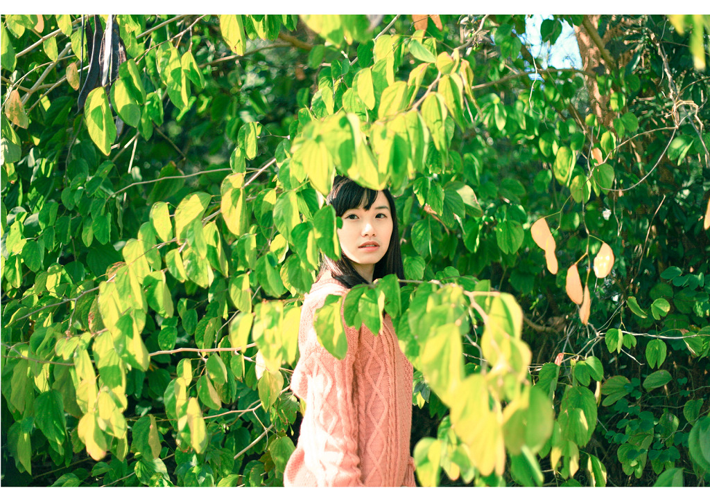 http://i.dcview.tw/gallery/201302/ba21a9edfdd69d66288920c58187a836.jpg