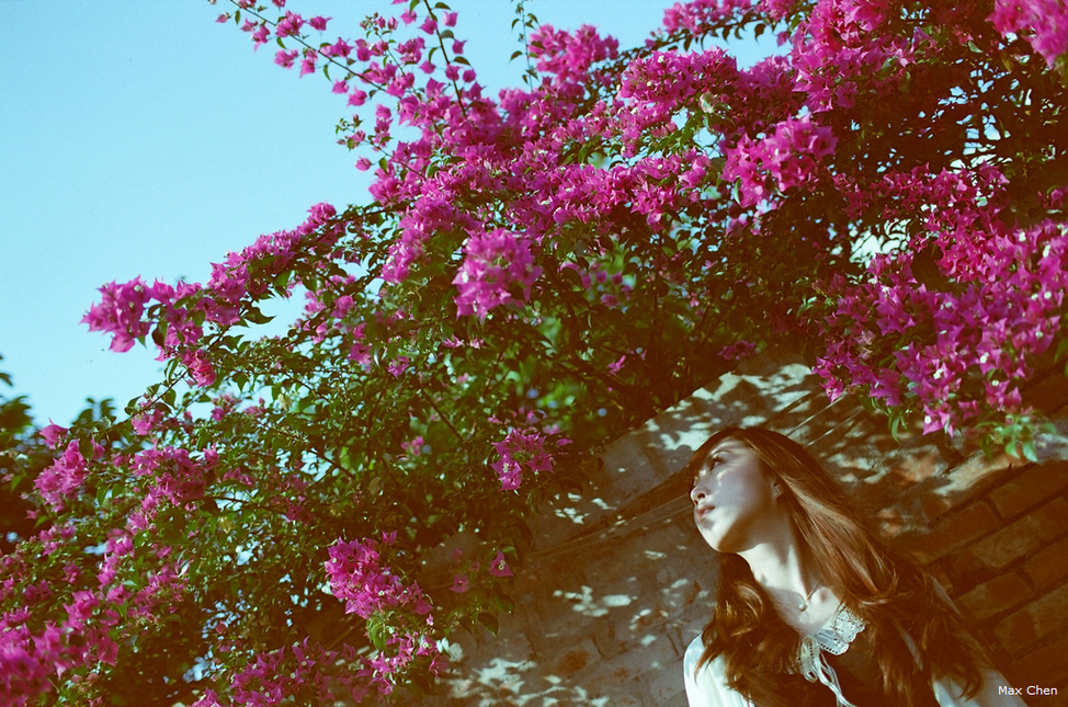 http://i.dcview.tw/gallery/201302/bae0030c593572947458959791ccb367.jpg