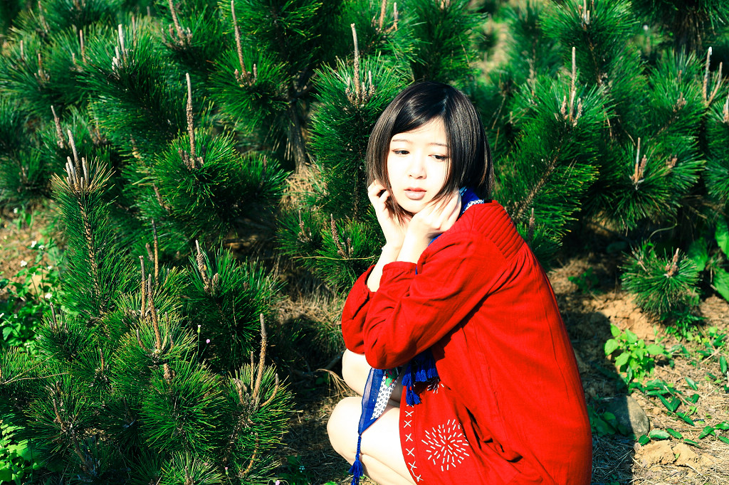 http://i.dcview.tw/gallery/201302/c386ef8aa5ba2061d26760fc4f174330.jpg
