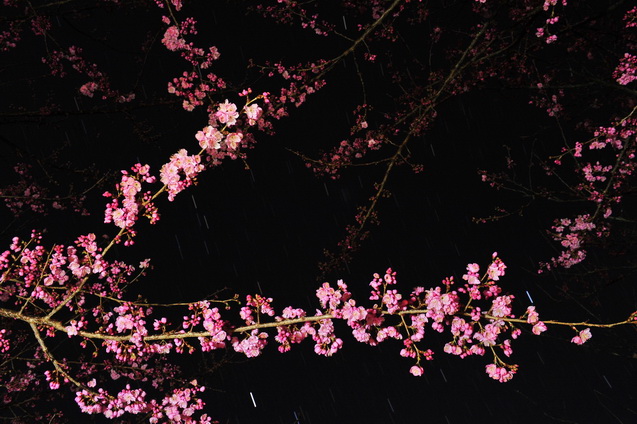 http://i.dcview.tw/gallery/201302/c3e258c84b602e406428a6fb53f7bd0a.jpg