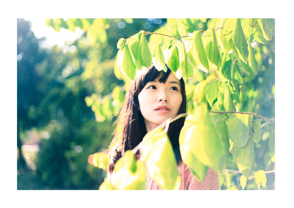 http://i.dcview.tw/gallery/201302/c6a9f777b10f73e2c3bc3b79023e2425.jpg