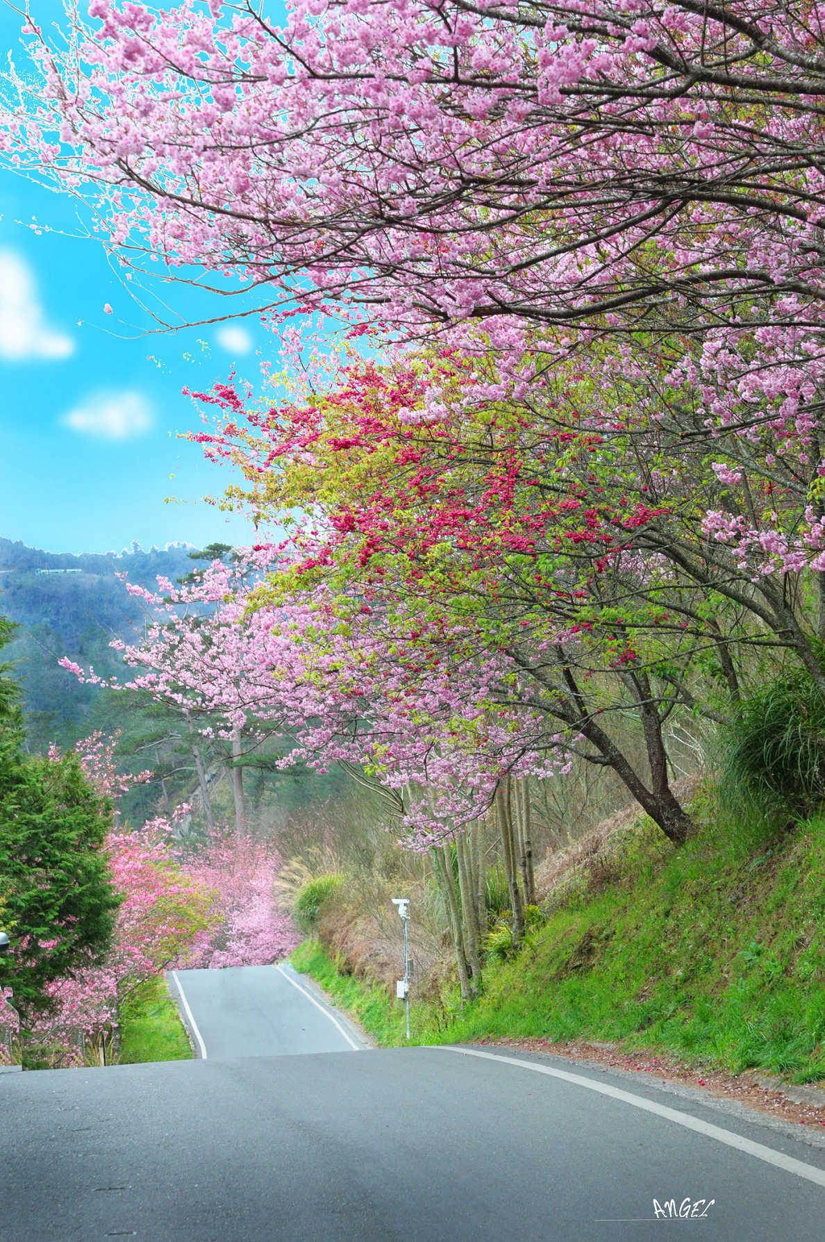 http://i.dcview.tw/gallery/201302/c9be10a140542cc23bf5c938116db1d6.jpg
