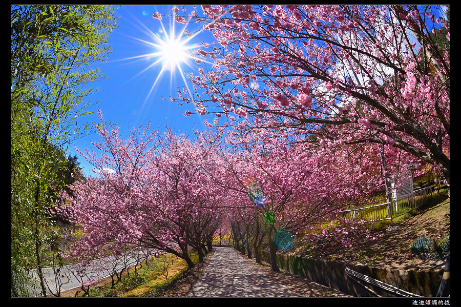 http://i.dcview.tw/gallery/201302/cc3b2b3126526b535bd628236e270e3c.jpg
