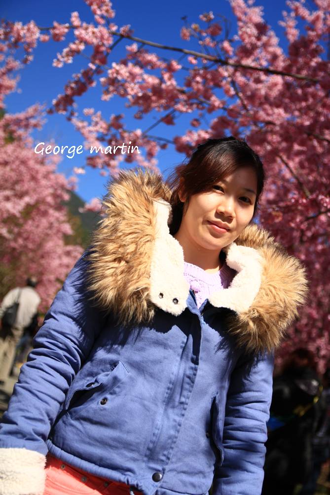 http://i.dcview.tw/gallery/201302/cc48394dffd9c545b81190e69d7563f8.jpg