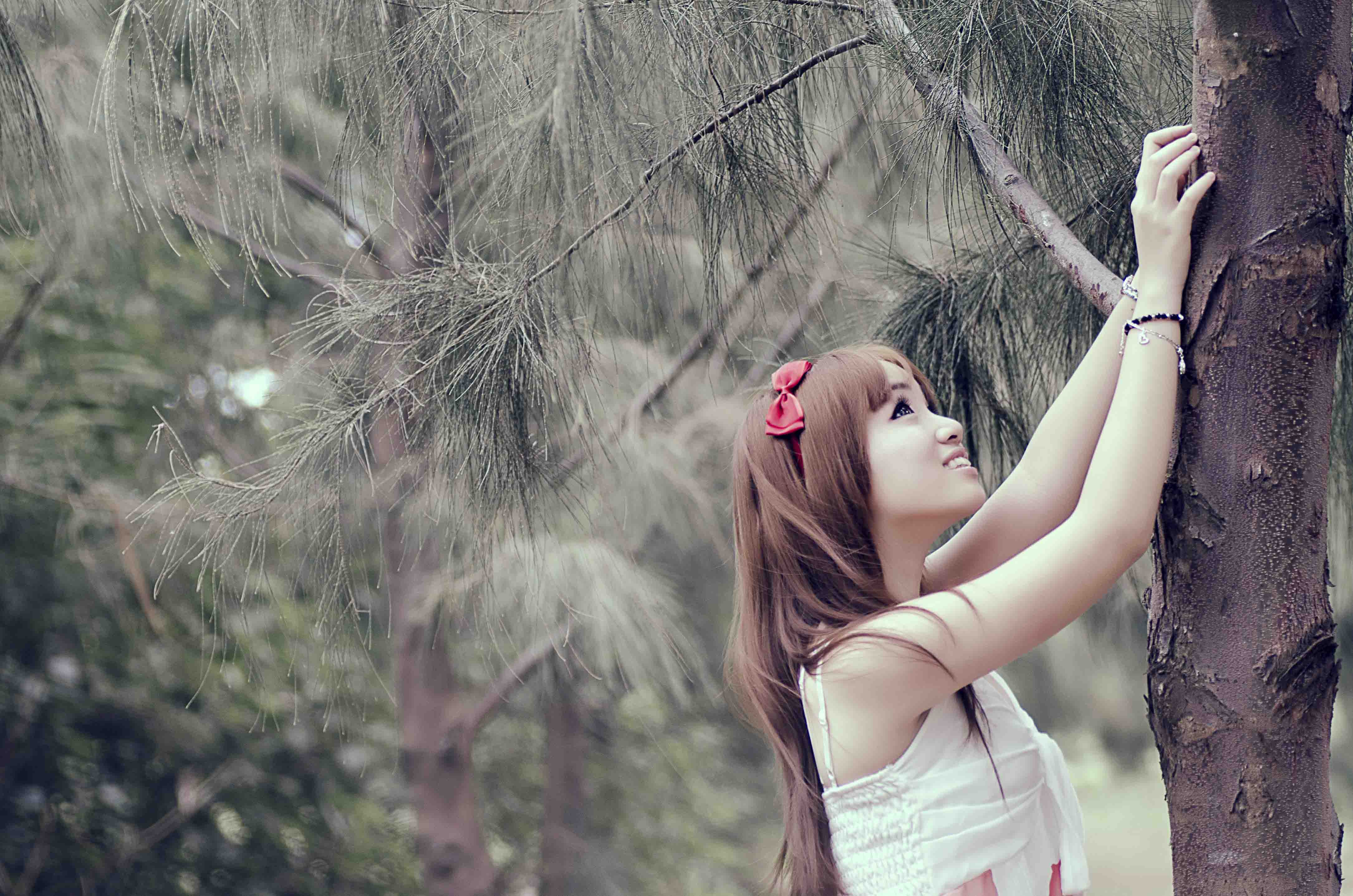 http://i.dcview.tw/gallery/201302/cf927061423834f2ce954070fb1e2def.jpg
