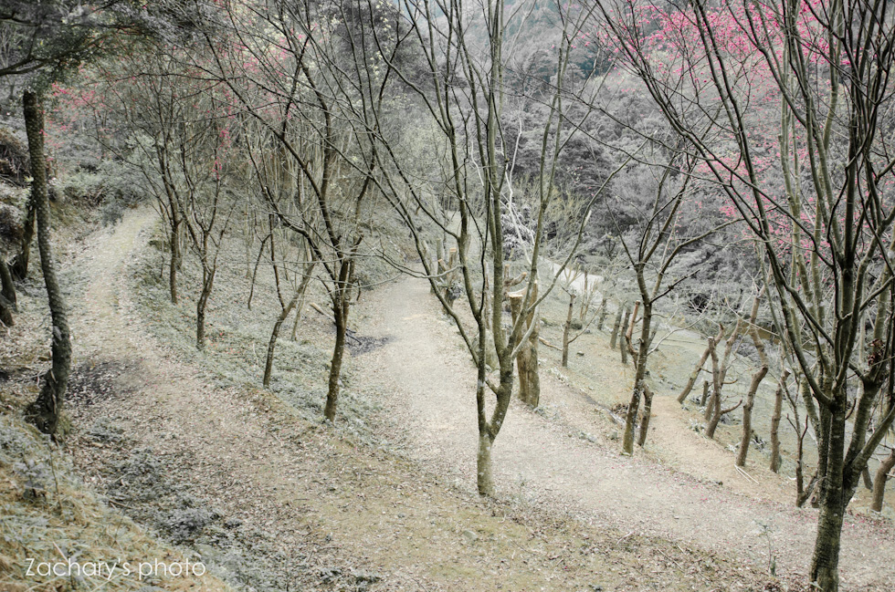 http://i.dcview.tw/gallery/201302/d4b9c43024ee5c12182cf09dd5342224.jpg