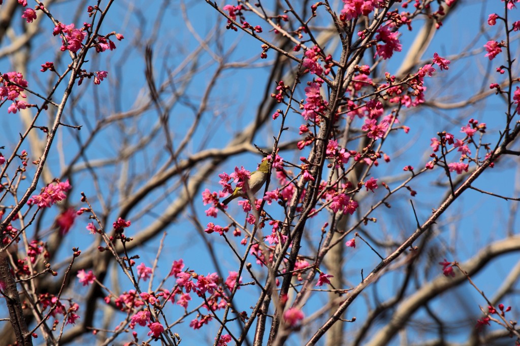 http://i.dcview.tw/gallery/201302/d6d094811096993a238259f6eb48491b.jpg