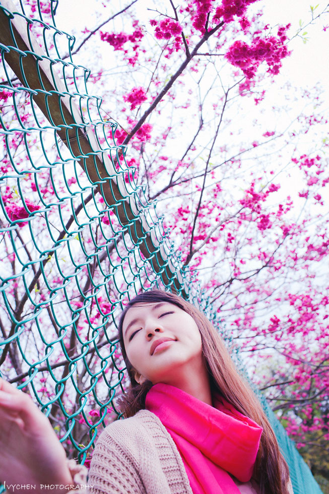 http://i.dcview.tw/gallery/201302/d7913056522b2e15d2187234b1729ff0.jpg