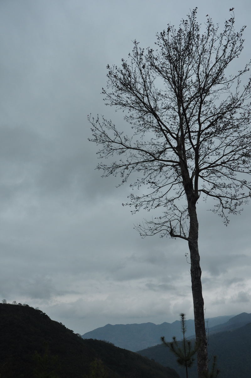 http://i.dcview.tw/gallery/201302/db35b82ba7a474d449e6eb88b3069854.jpg