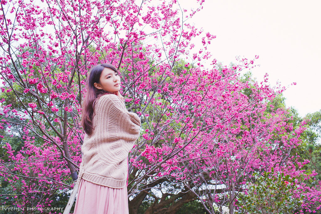 http://i.dcview.tw/gallery/201302/dd88f9630dba0f9179fb0b9144b59f8c.jpg