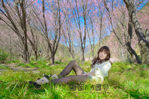 http://i.dcview.tw/gallery/201302/dfefc56735b9e73a4ca6490f5a8fde7d.jpg