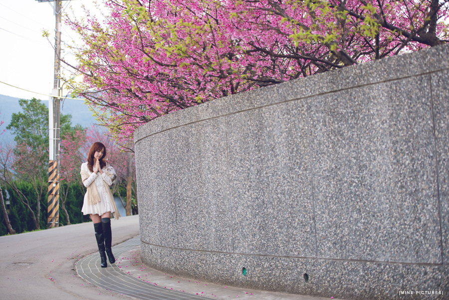 http://i.dcview.tw/gallery/201302/e04d00704b5cdeb29fdb5780993dd297.jpg