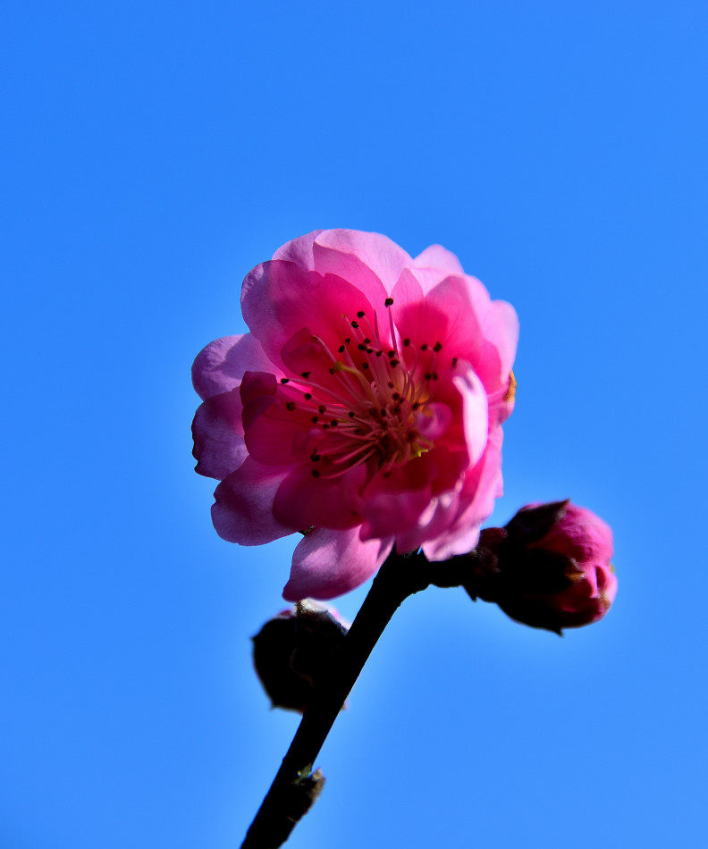 http://i.dcview.tw/gallery/201302/e3737a21ab8b8ce88c205904945c1344.jpg